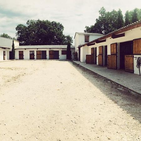 Maison Au Milieu Des Chevaux L'Isle-sur-la-Sorgue Ngoại thất bức ảnh