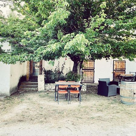 Maison Au Milieu Des Chevaux L'Isle-sur-la-Sorgue Ngoại thất bức ảnh