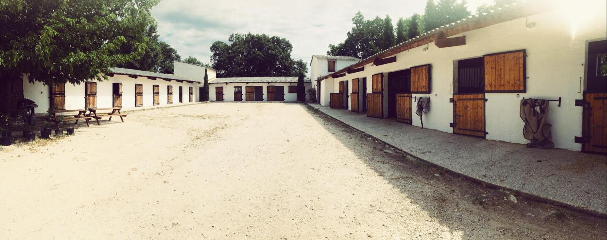 Maison Au Milieu Des Chevaux L'Isle-sur-la-Sorgue Ngoại thất bức ảnh