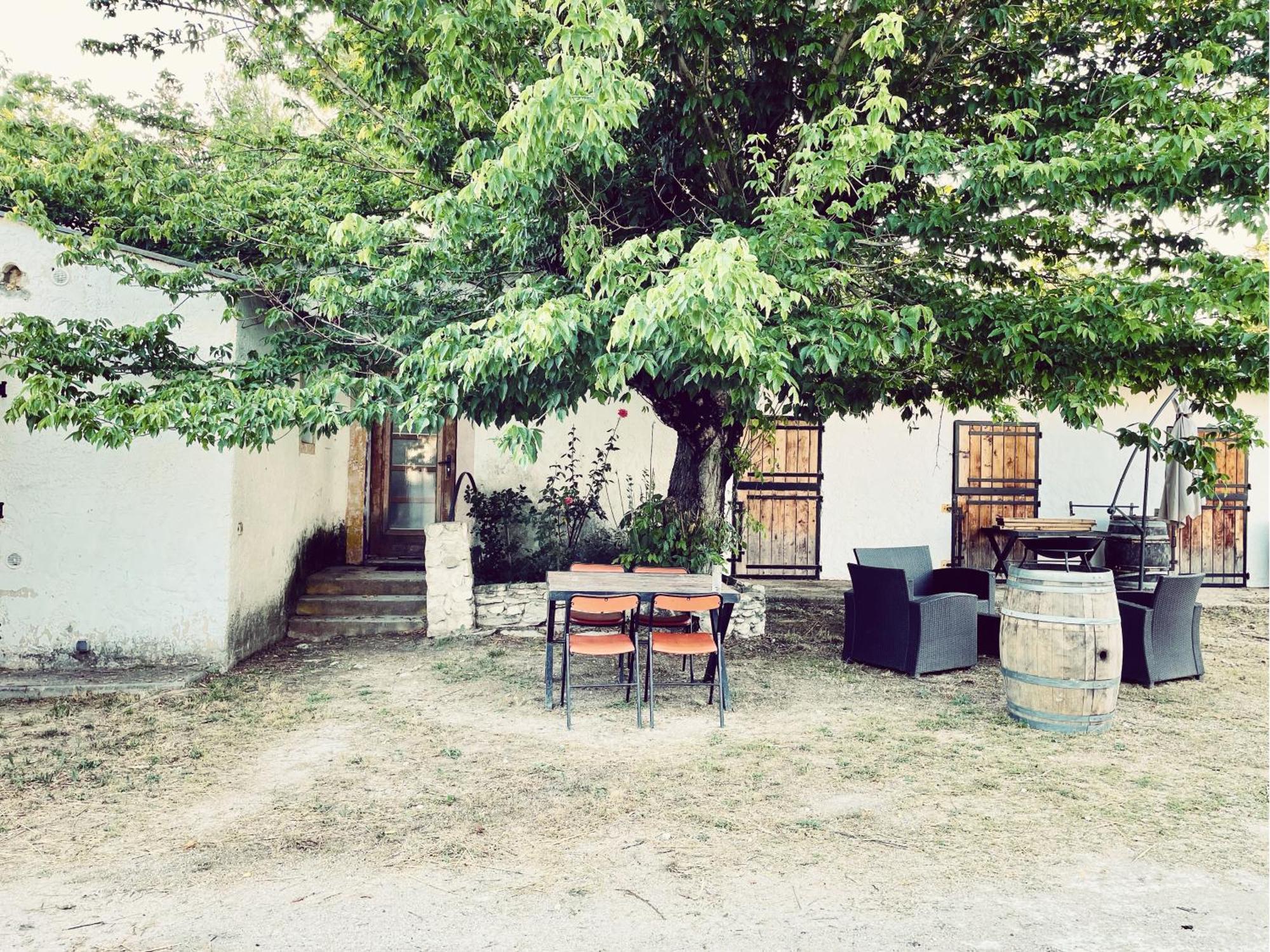 Maison Au Milieu Des Chevaux L'Isle-sur-la-Sorgue Ngoại thất bức ảnh